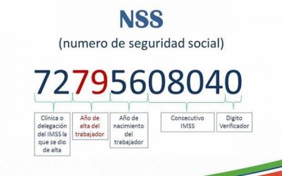 ¿Cómo obtener por ti mismo tu RFC y Número de Seguridad Social (NSS)? (para Personas Físicas)